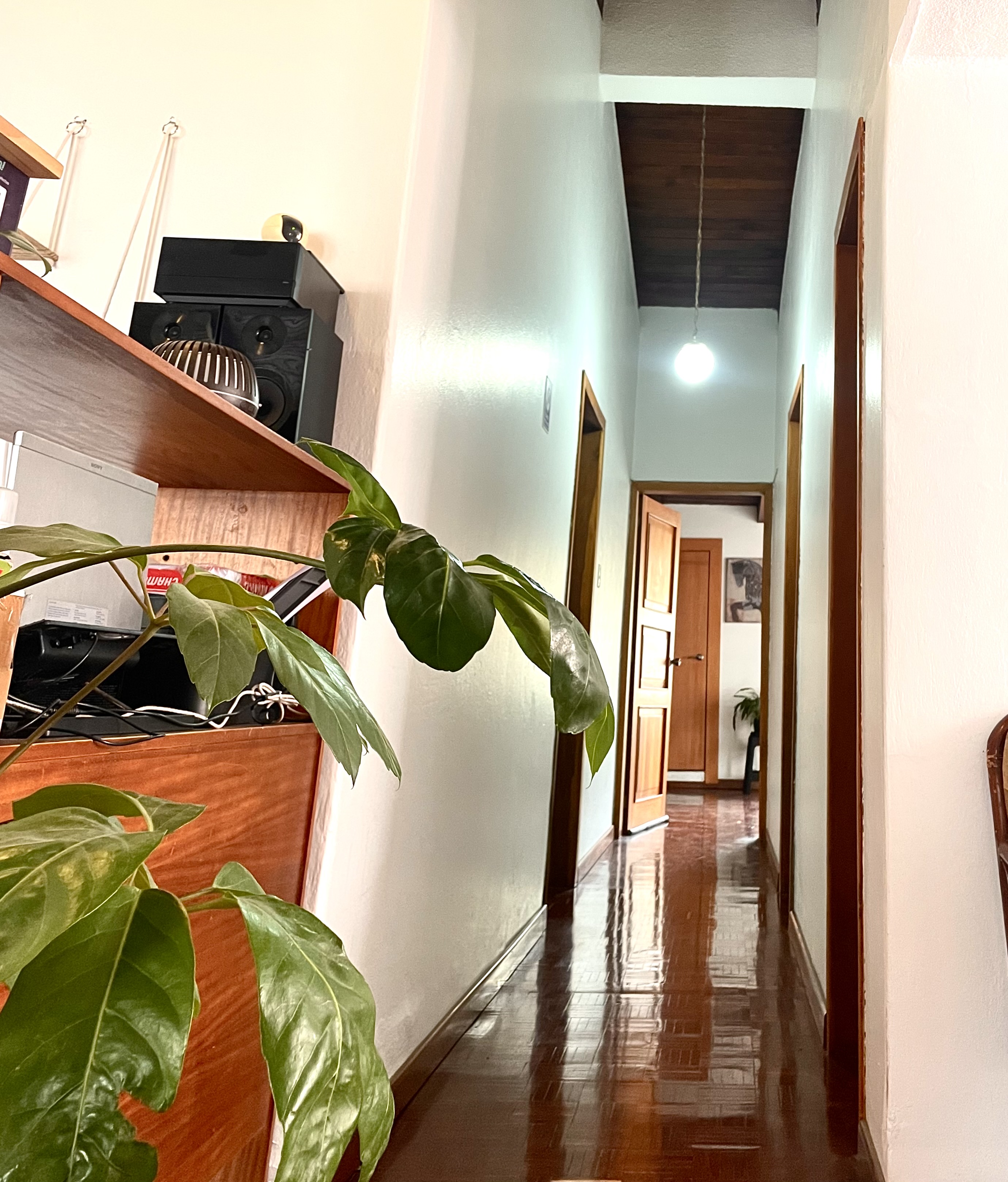Pasillo interior de ORIGEN con acceso a consultorios